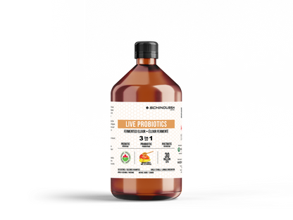 LIVE PROBIOTICS ELIXIR - HONEY MANGO - Schinoussa Superfoods